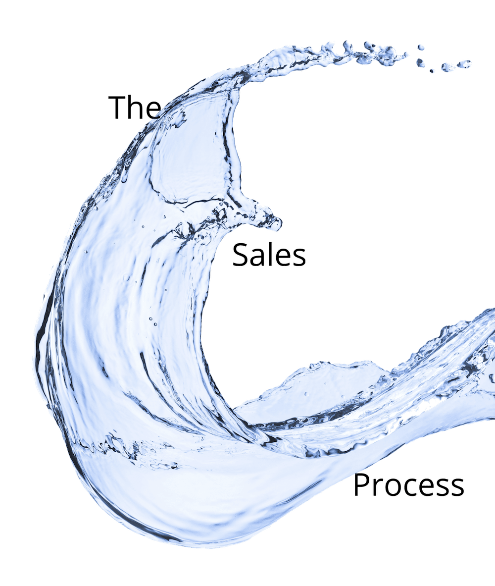 The Franchise Sales Process