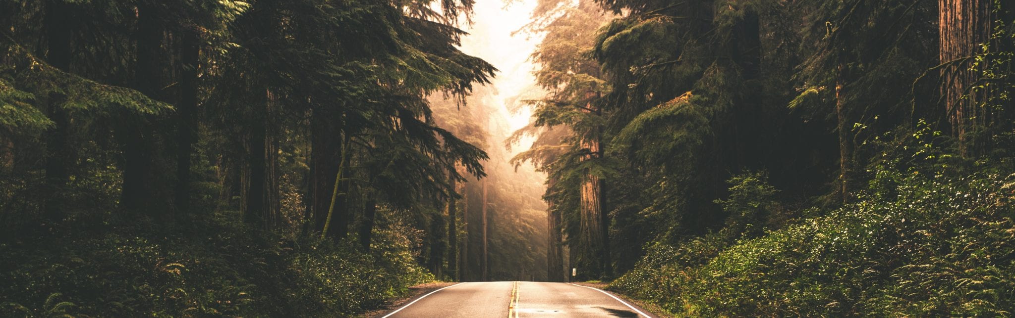 road to franchising
